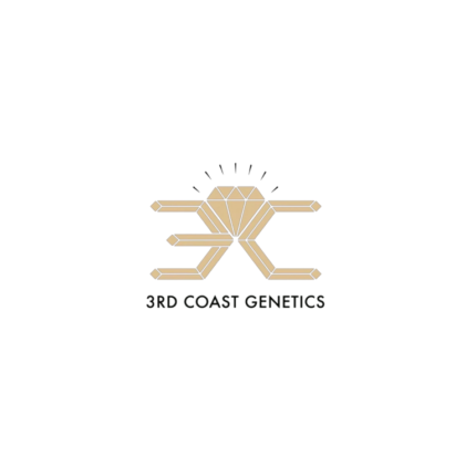 3rd coast genetics-sex pistol seeds