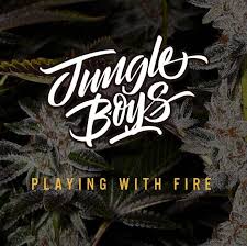 Jungle boys cannabis seeds