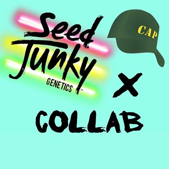 Cap Junky S1 fem seeds