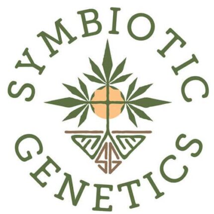 Symbiotic genetics-dosi punch seeds