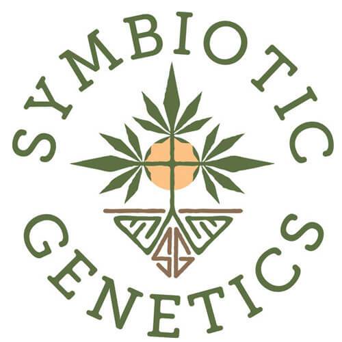 Symbiotic genetics-dosi punch seeds