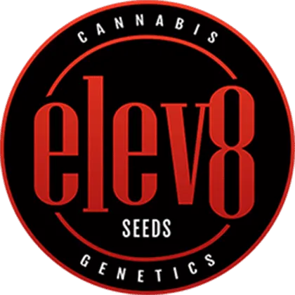 Elev8 Seeds – Beaver Cookies