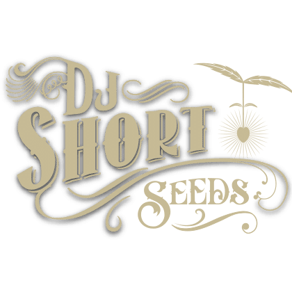 The Family Blues Box Set from DJ Short Seeds/Blue Star Seeds