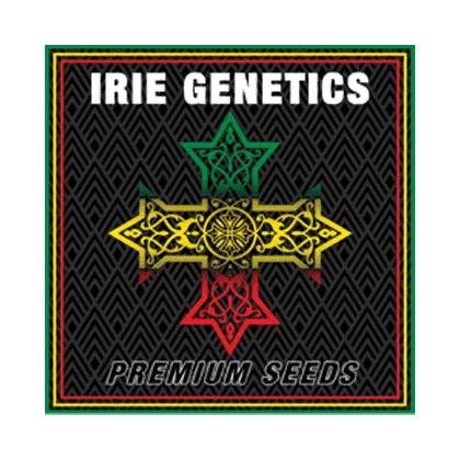 Irie Genetics-Candylicious feminized seeds
